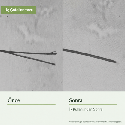 KÖKE Canlılık & Koruma Kremi